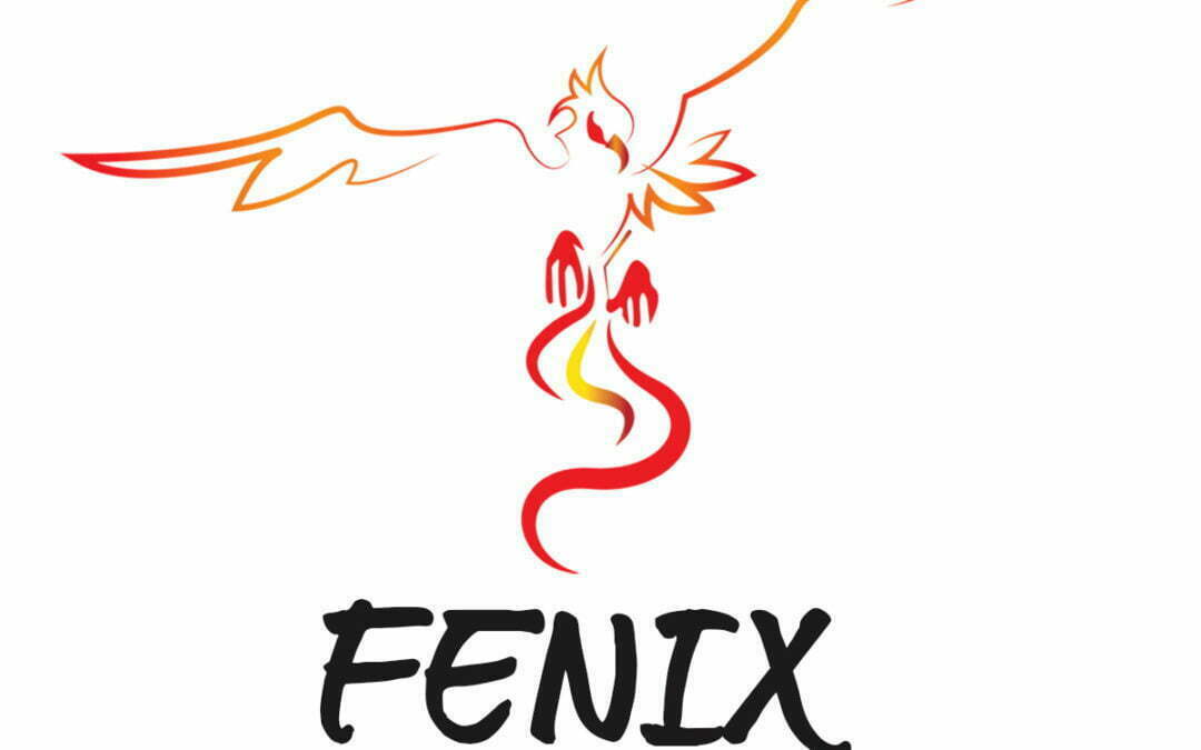 Fenix Coaching et training