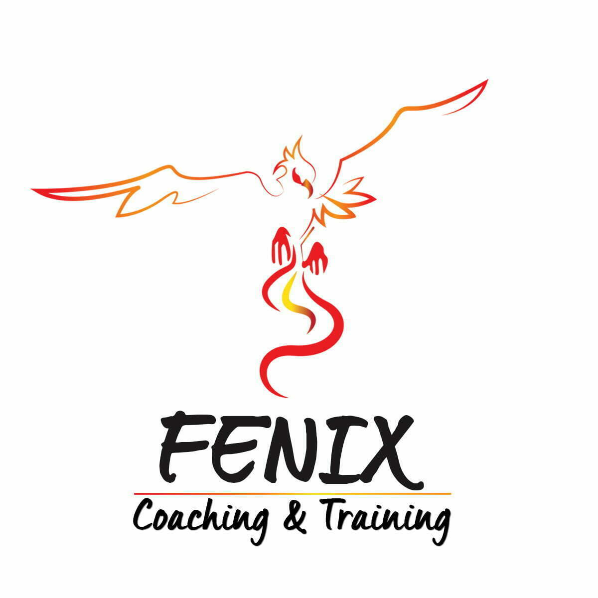 Fenix Coaching et training