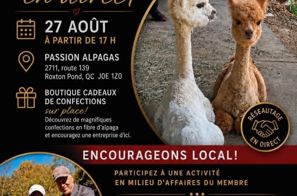 RÉSEAUTAGE EN DIRECT – Visite exclusive chez Passion Alpagas !